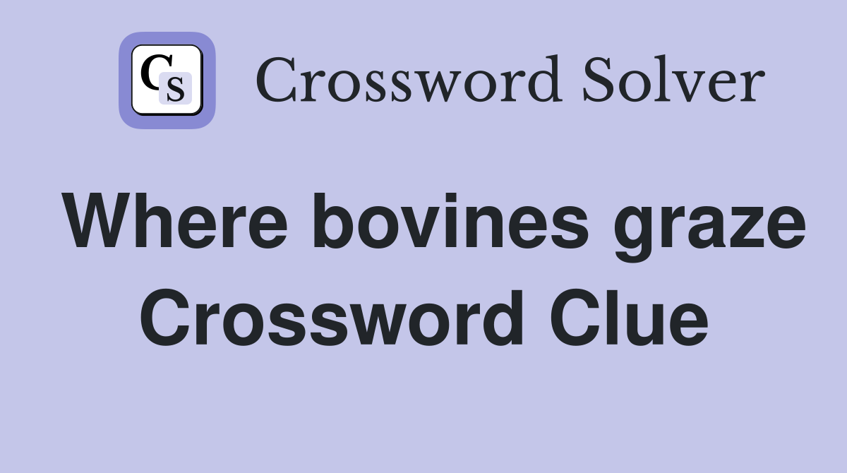 Where bovines graze Crossword Clue