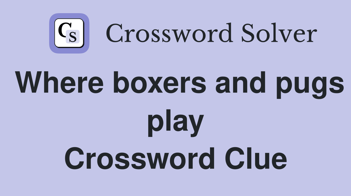 Where boxers and pugs play Crossword Clue