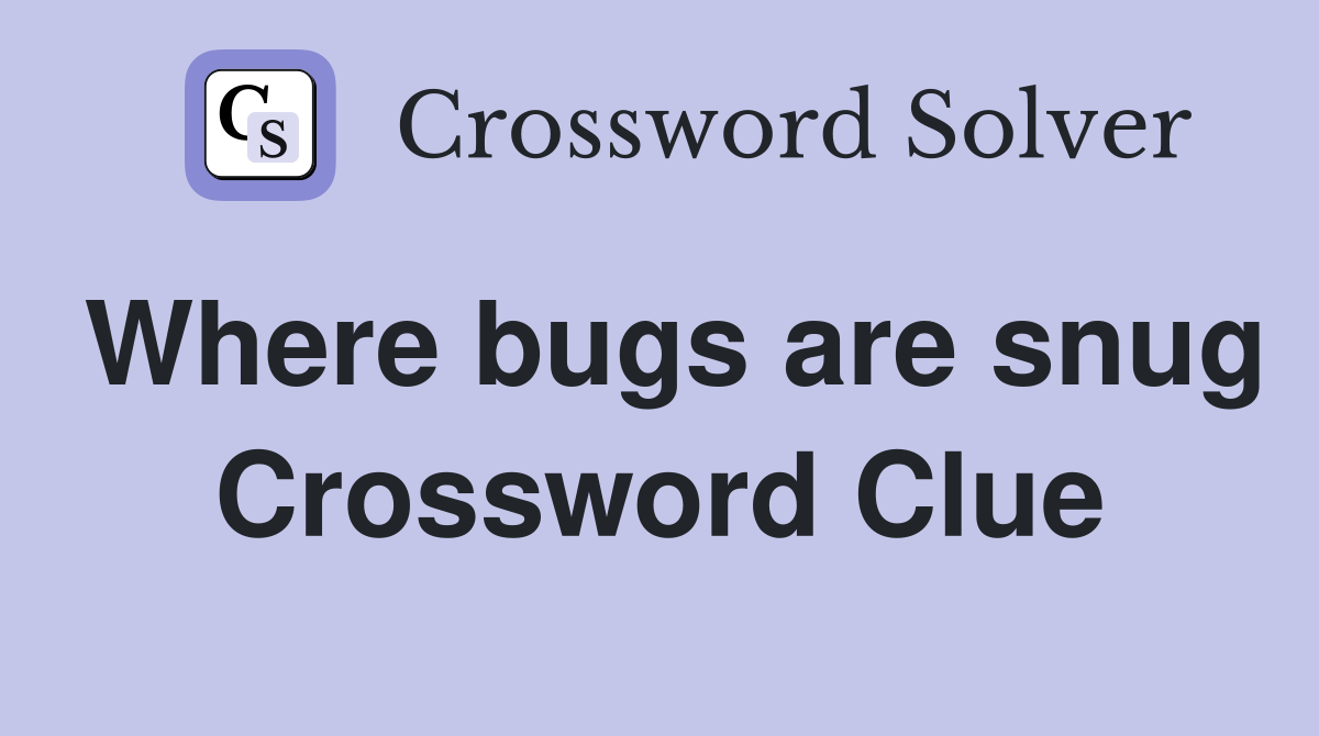 Where bugs are snug Crossword Clue