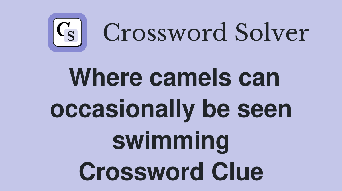 Where camels can occasionally be seen swimming Crossword Clue