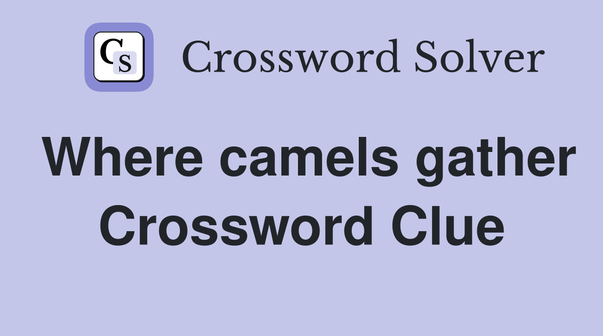 Where camels gather Crossword Clue