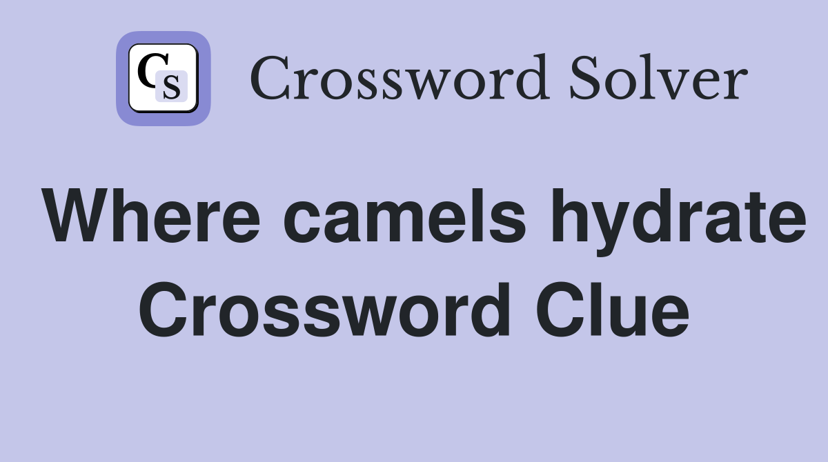Where camels hydrate Crossword Clue