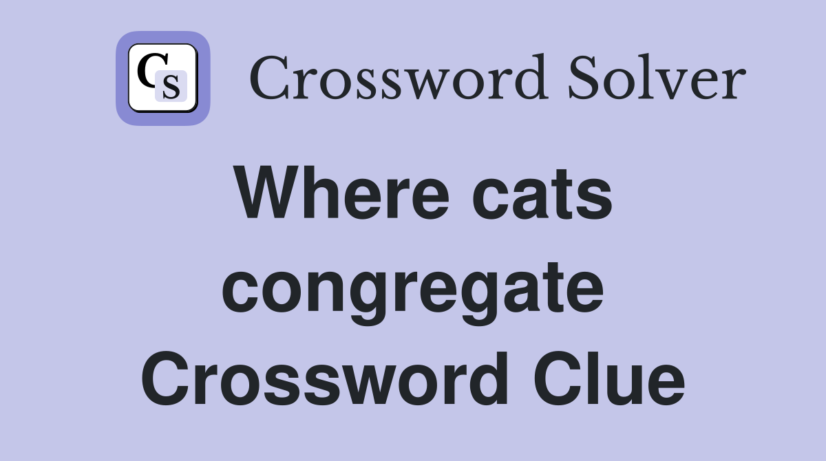 Where cats congregate Crossword Clue