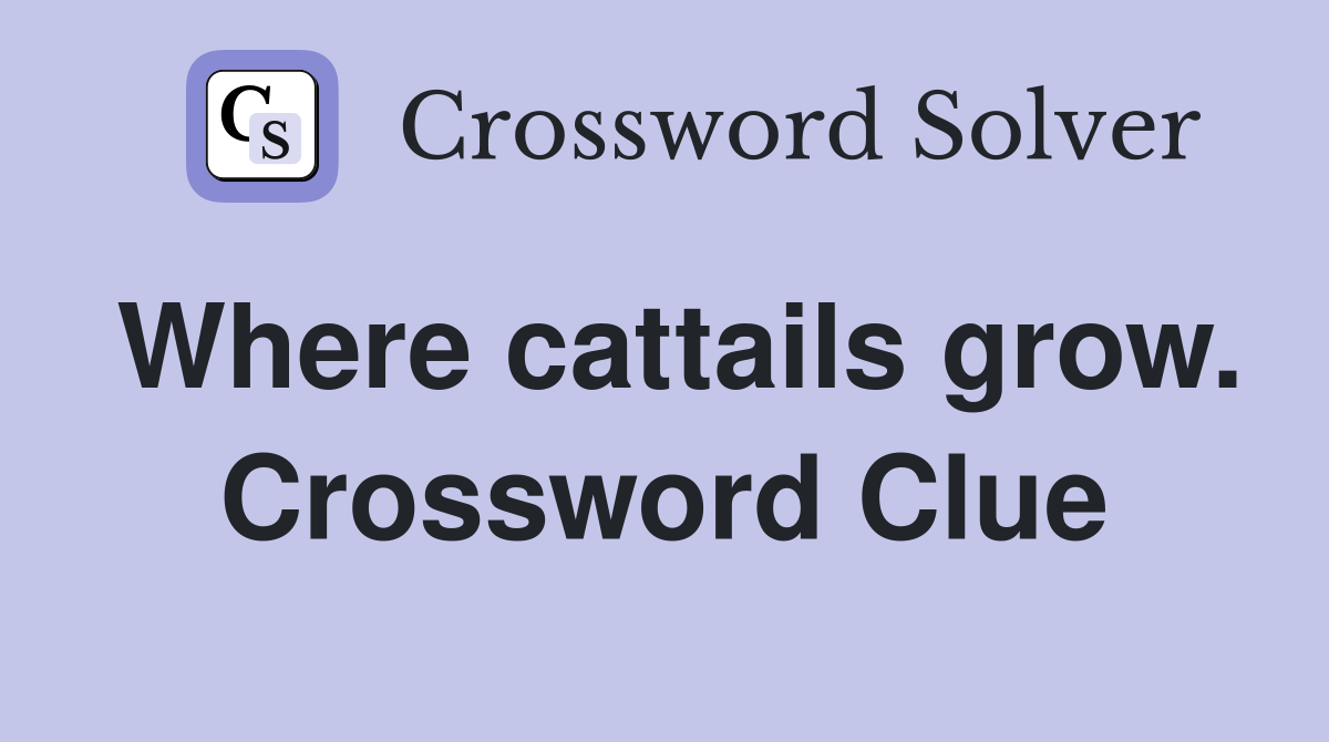 Where cattails grow. Crossword Clue