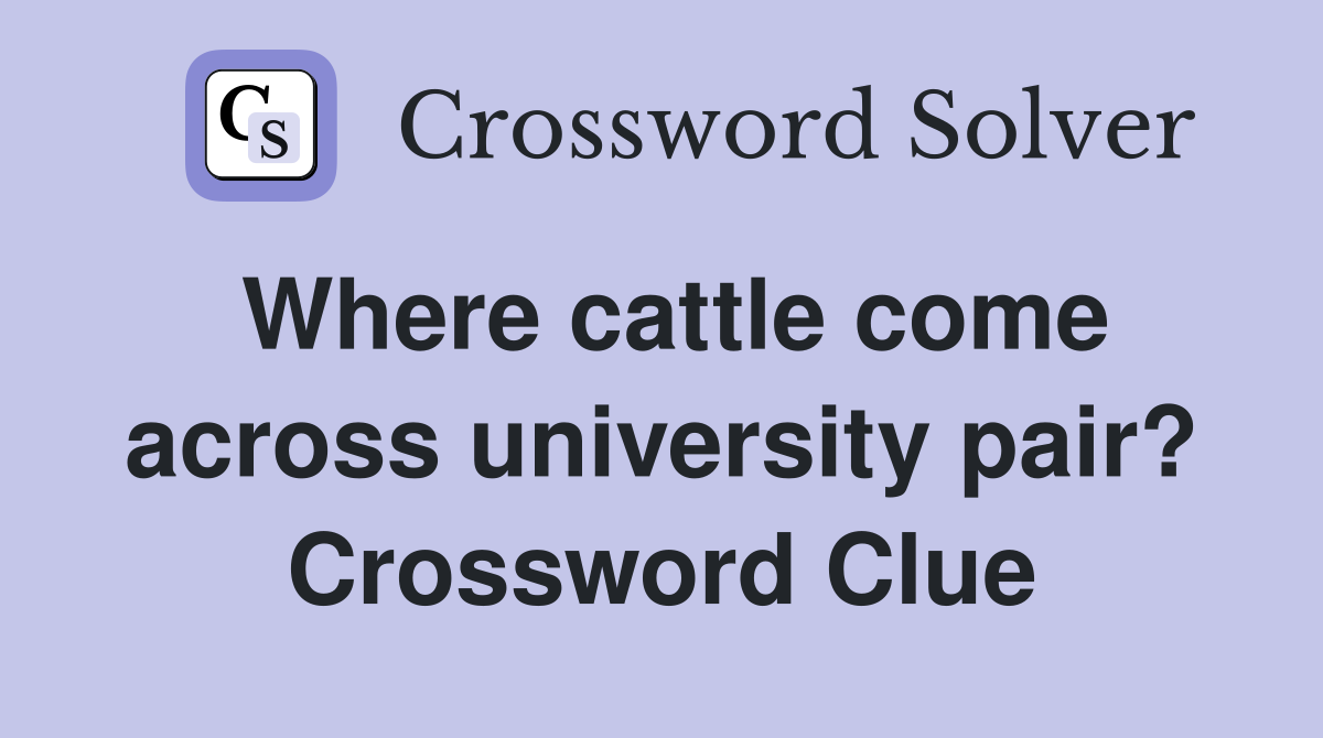 Where cattle come across university pair? Crossword Clue