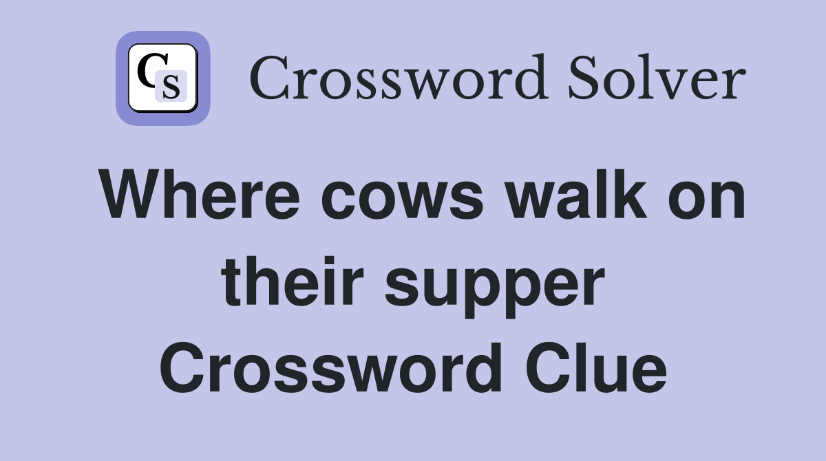 Where cows walk on their supper Crossword Clue