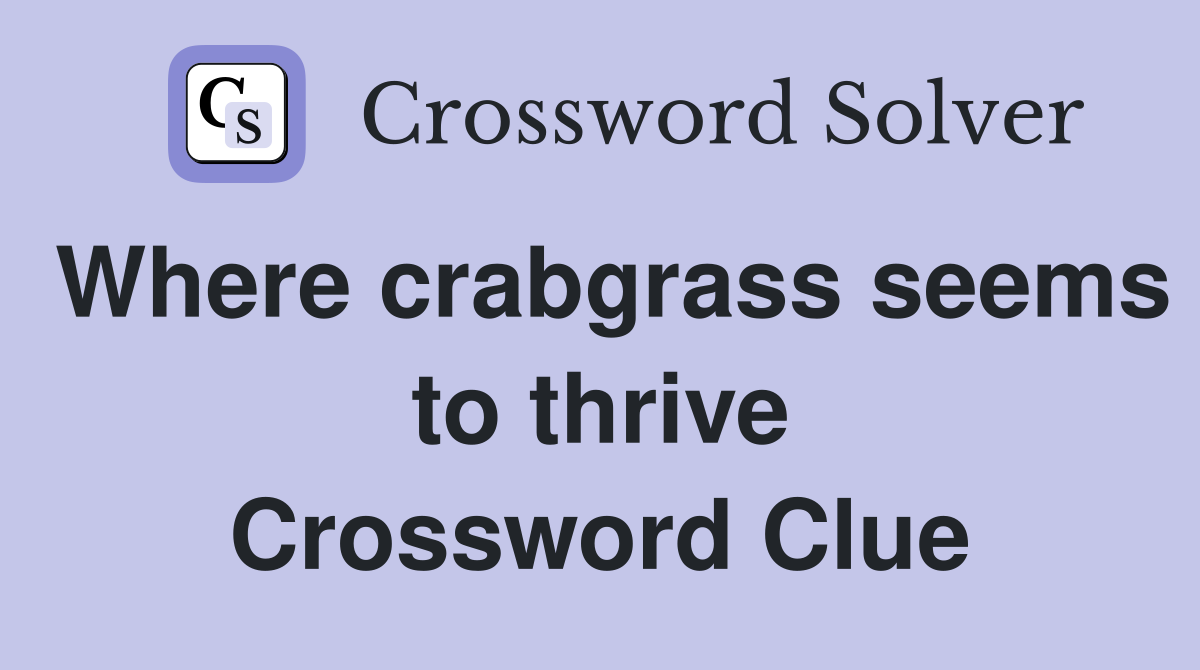 Where crabgrass seems to thrive Crossword Clue