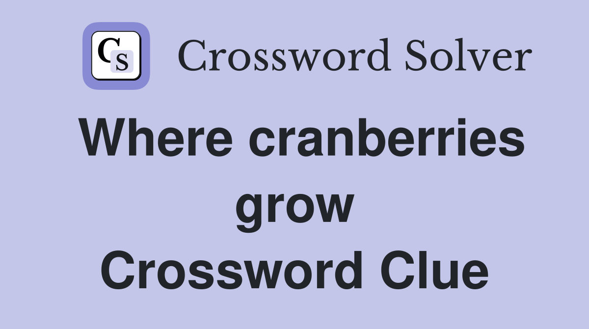 Where cranberries grow Crossword Clue