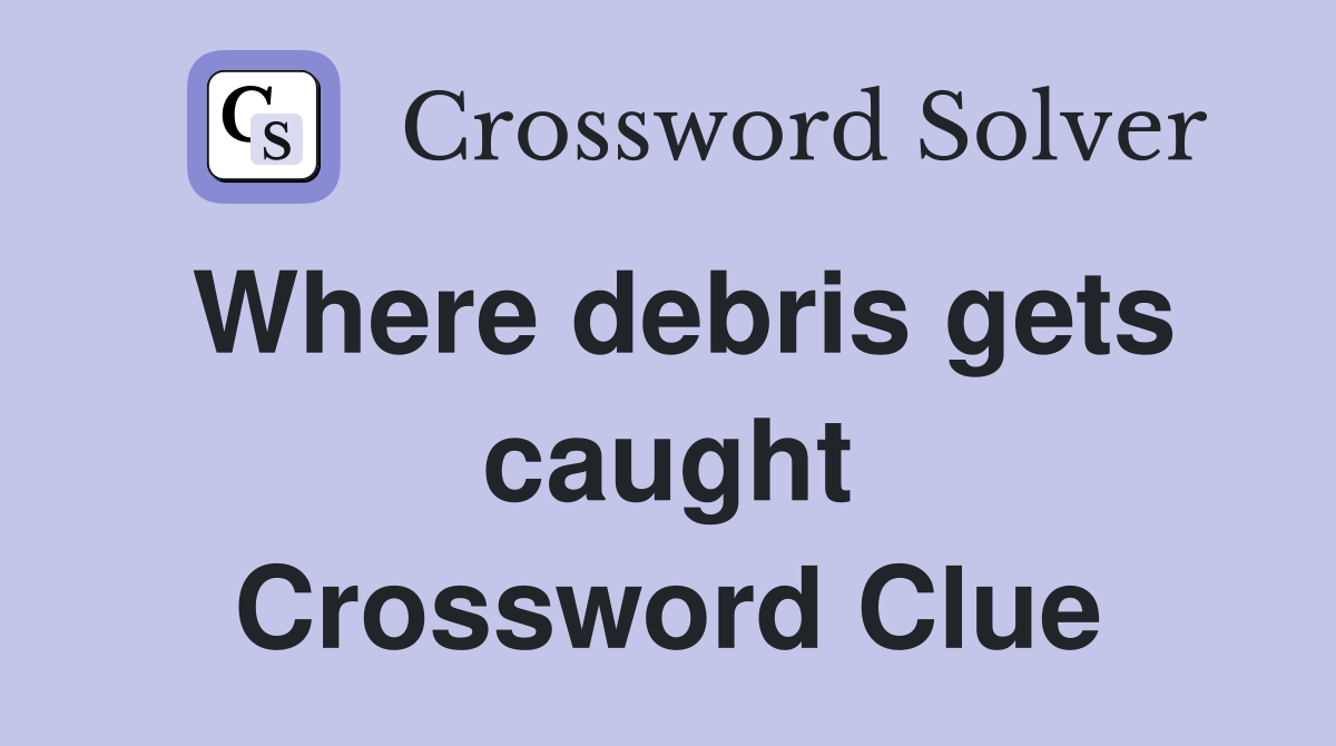 Where debris gets caught Crossword Clue