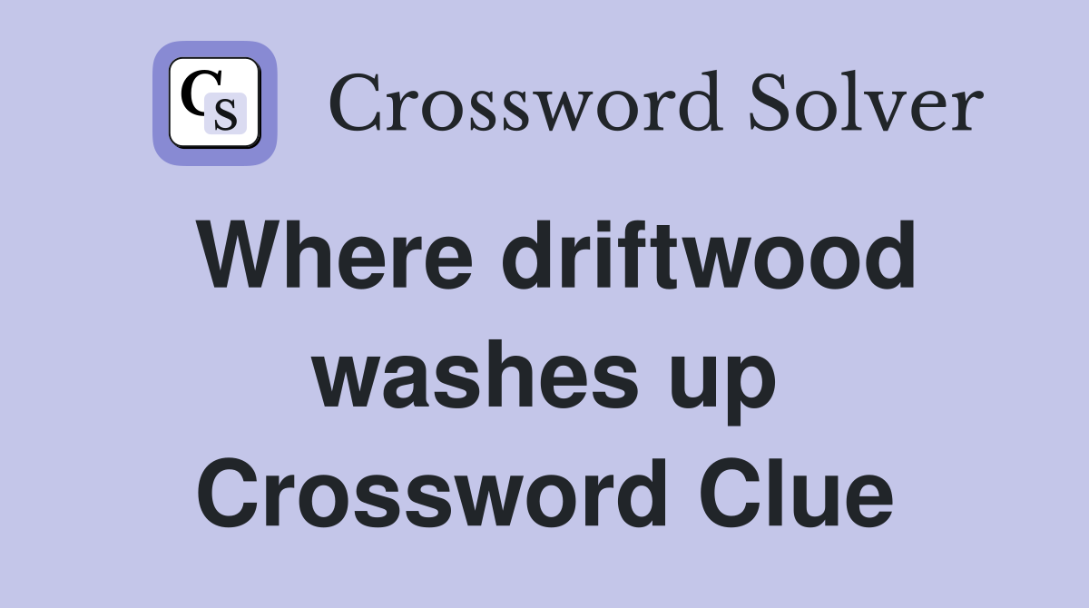 Where driftwood washes up Crossword Clue