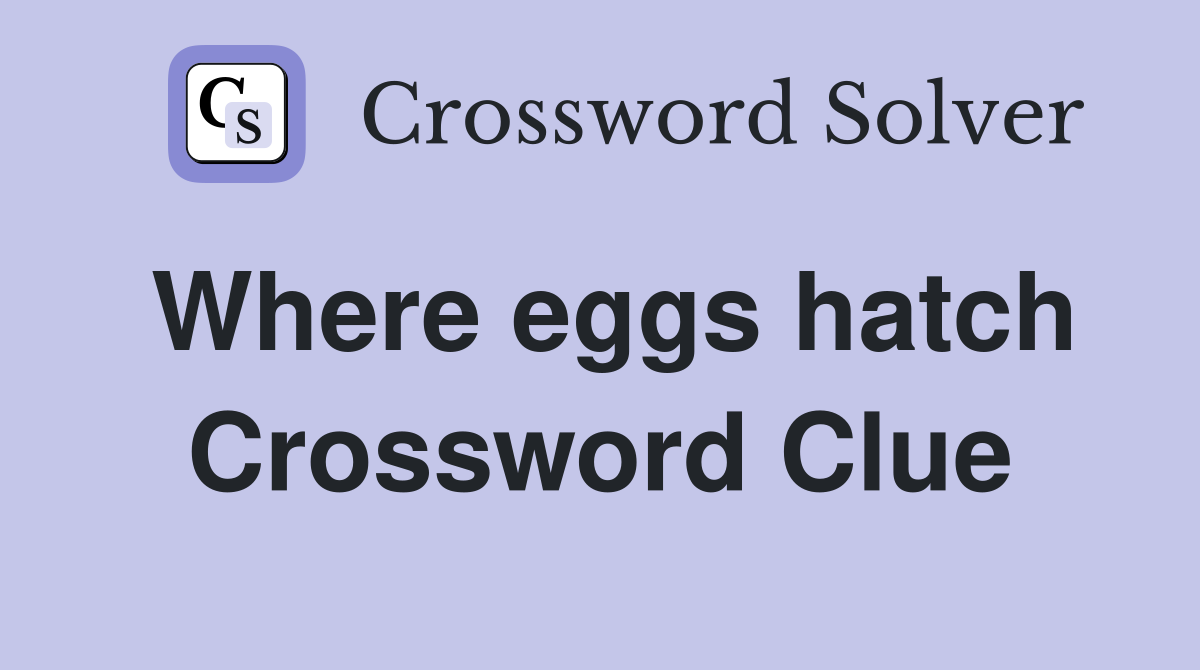 Where eggs hatch Crossword Clue
