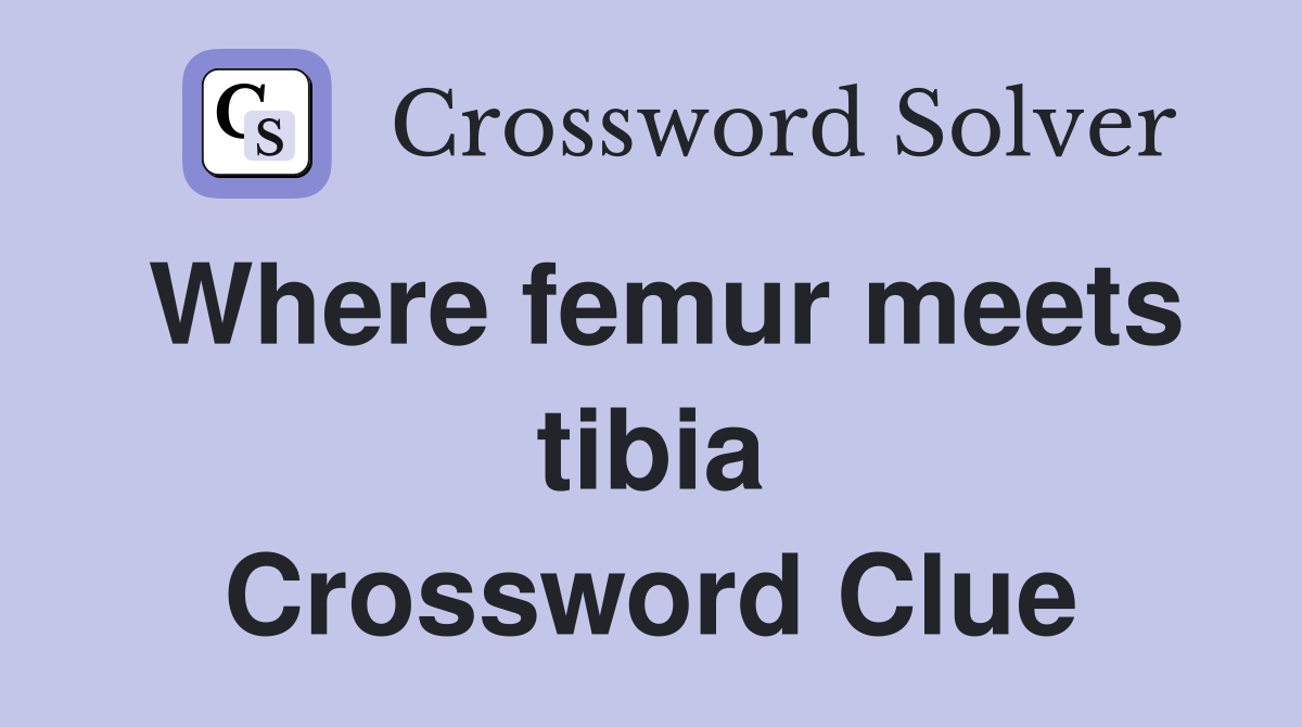 Where femur meets tibia Crossword Clue