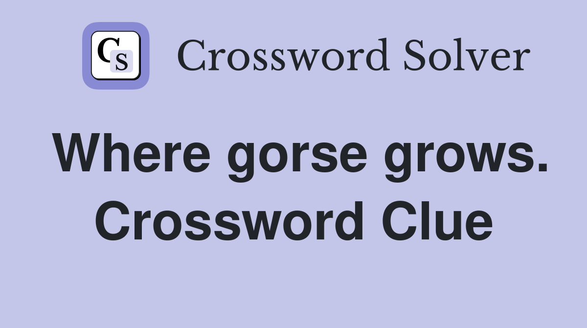 Where gorse grows. Crossword Clue