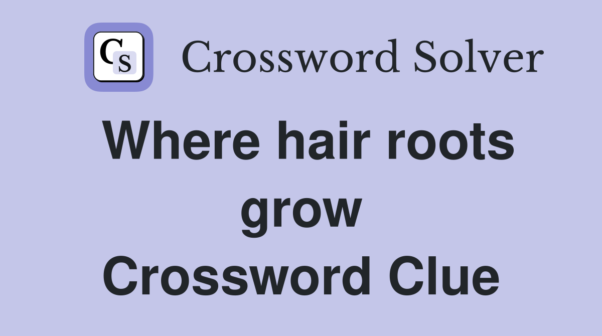 Where hair roots grow Crossword Clue