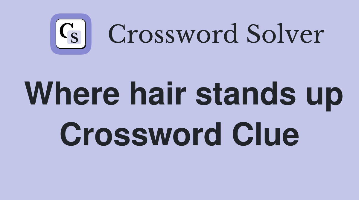 Where hair stands up Crossword Clue