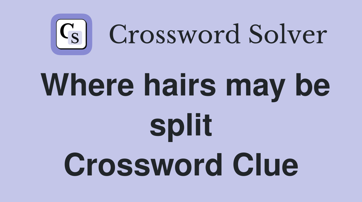 Where hairs may be split Crossword Clue