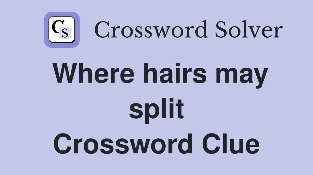 Where hairs may split Crossword Clue