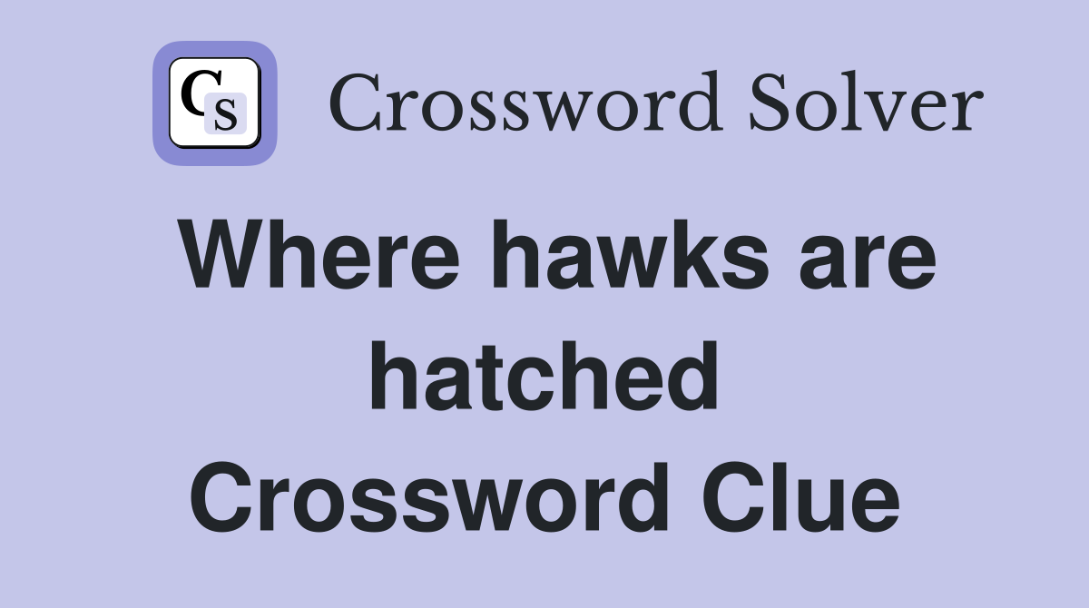 Where hawks are hatched Crossword Clue