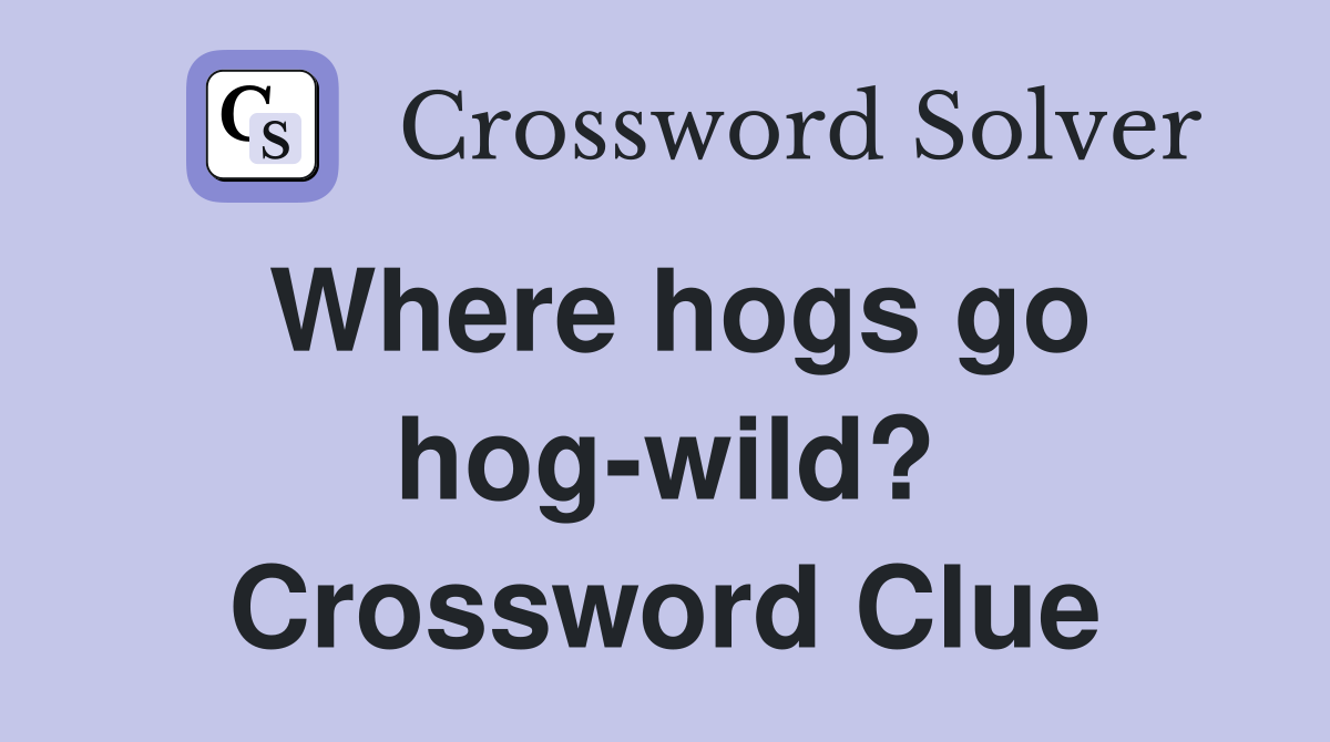 Where hogs go hog-wild? Crossword Clue
