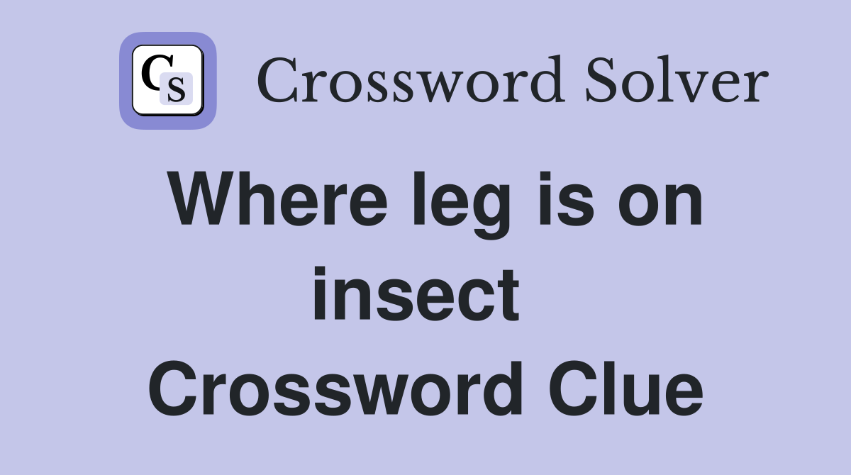 Where leg is on insect  Crossword Clue