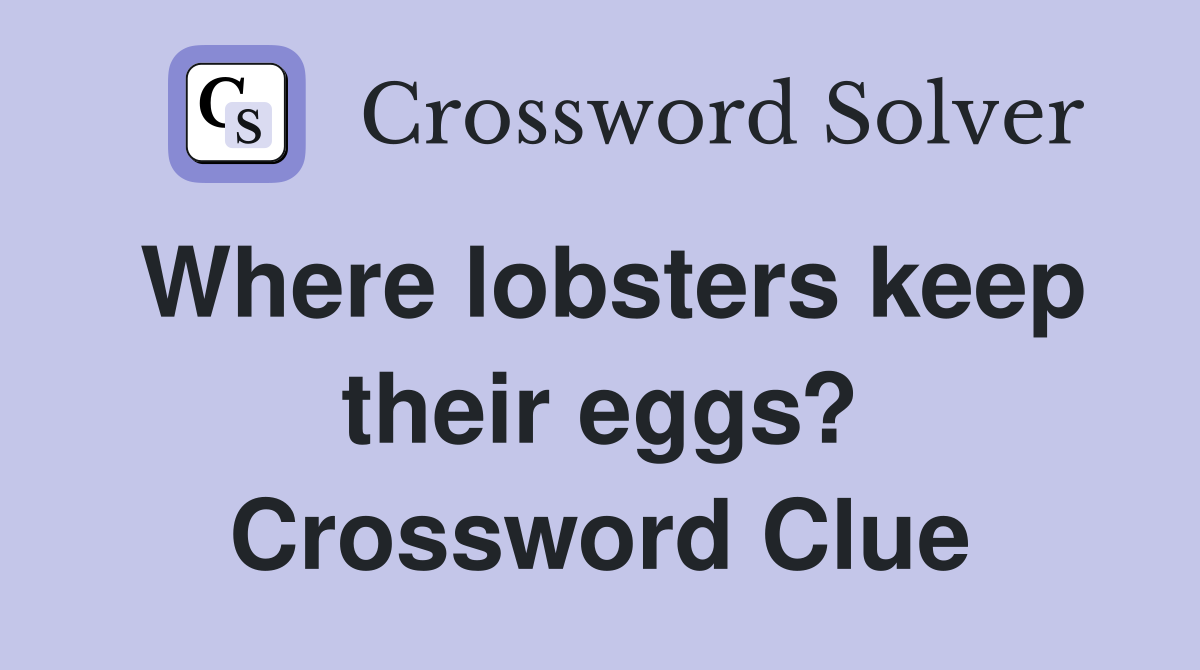 Where lobsters keep their eggs? Crossword Clue