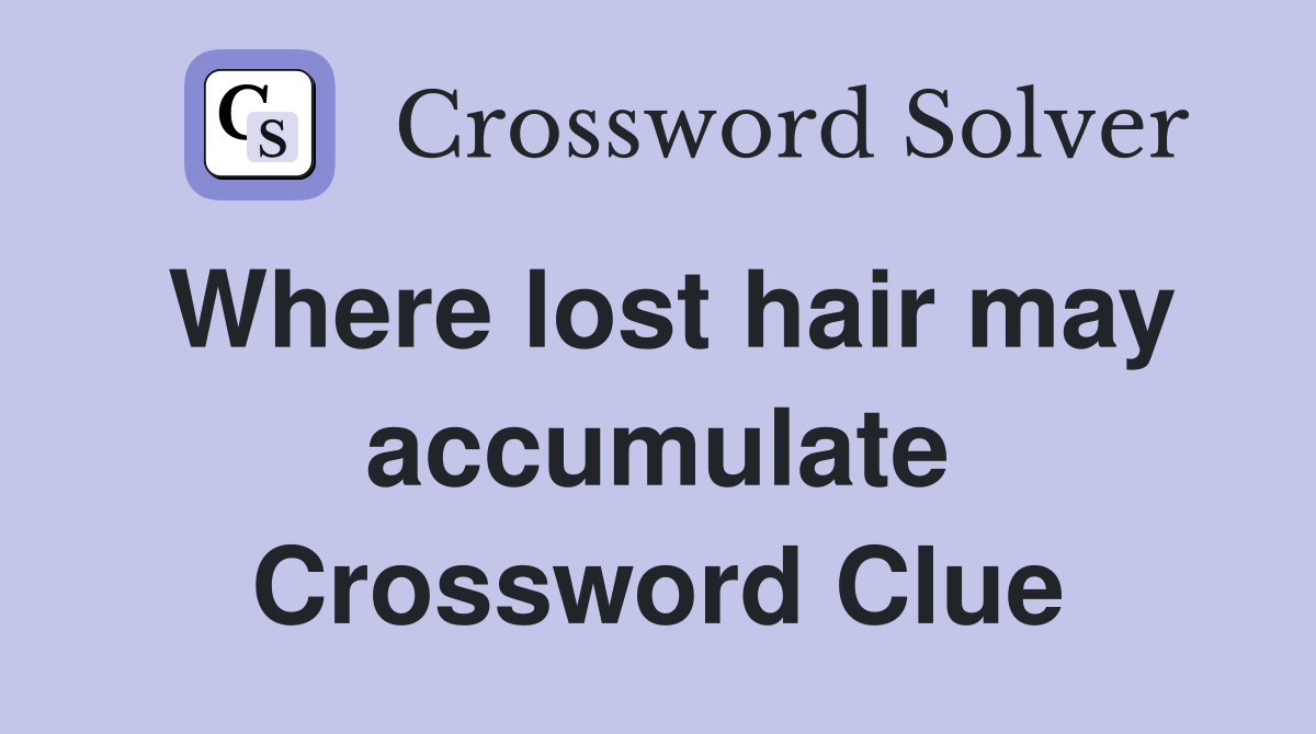 Where lost hair may accumulate Crossword Clue