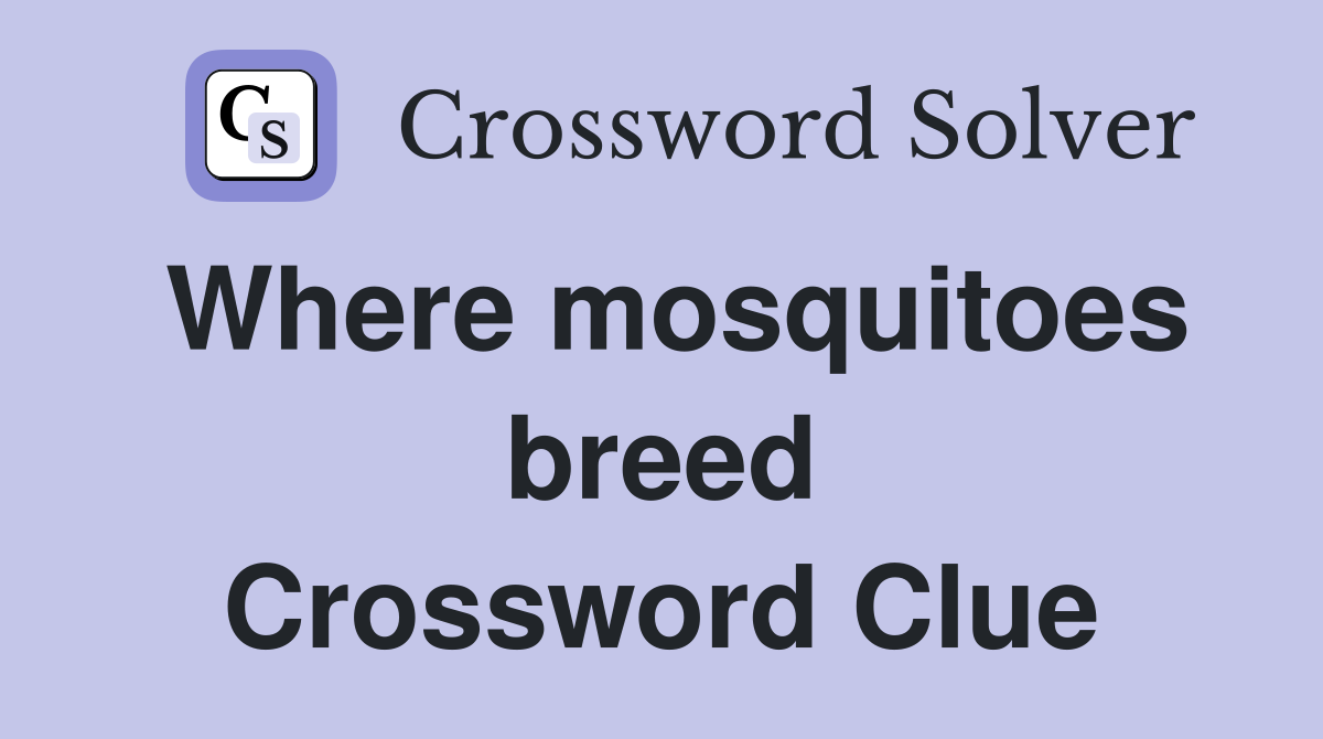 Where mosquitoes breed Crossword Clue