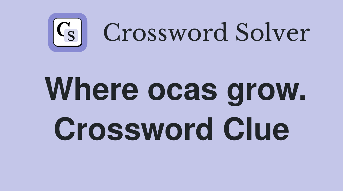 Where ocas grow. Crossword Clue