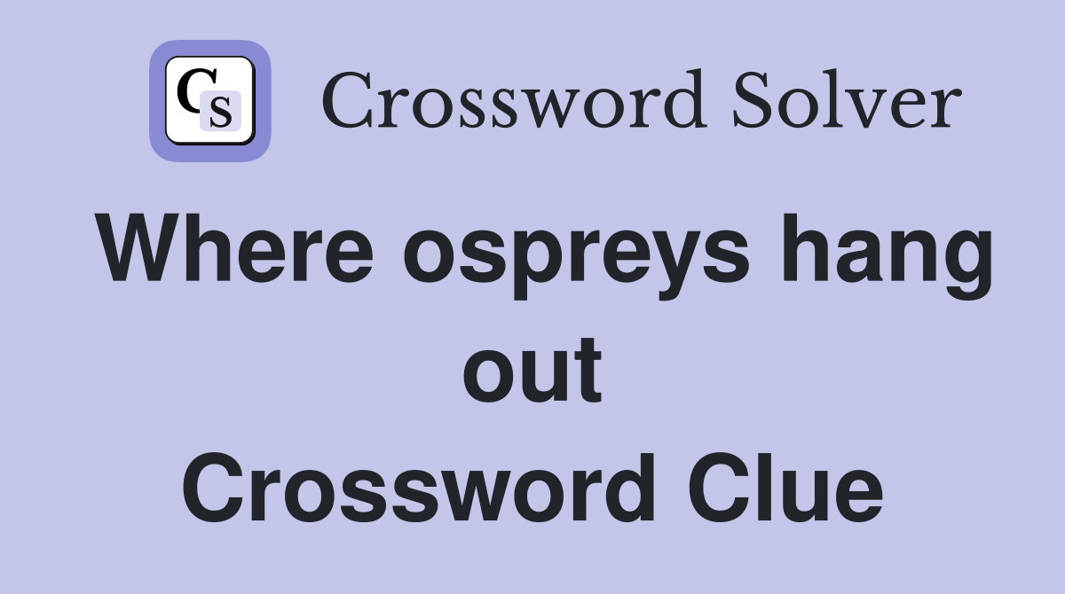 Where ospreys hang out Crossword Clue