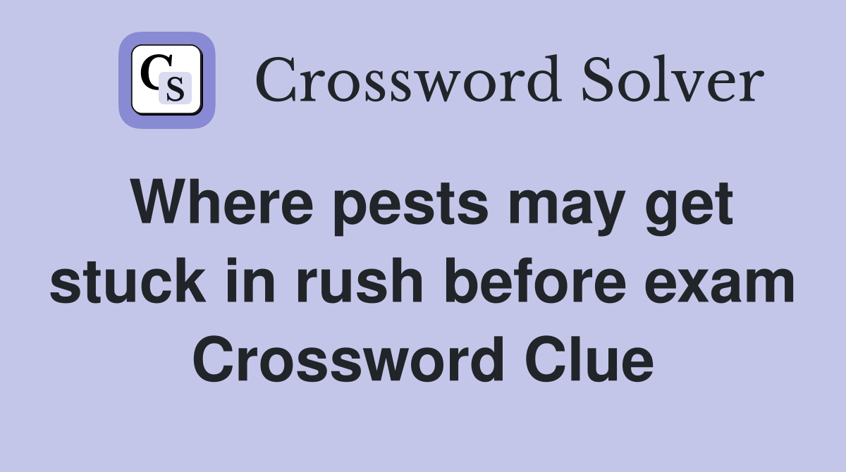 Where pests may get stuck in rush before exam Crossword Clue