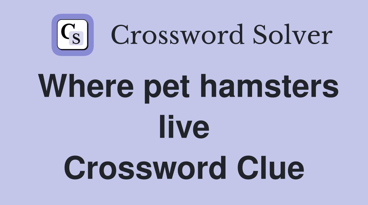 Where pet hamsters live Crossword Clue