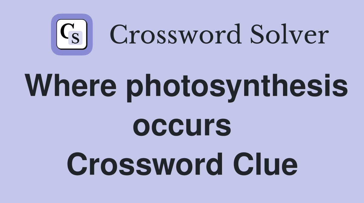 Where photosynthesis occurs Crossword Clue