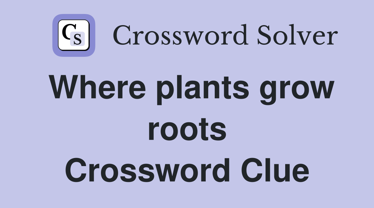 Where plants grow roots Crossword Clue