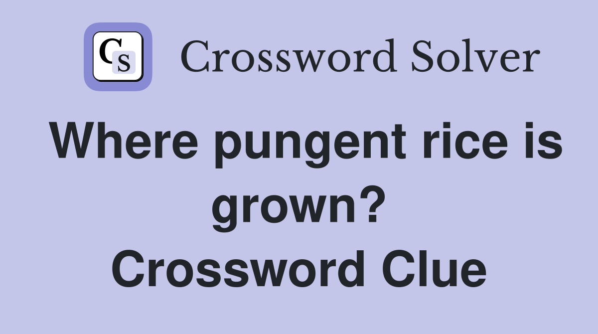 Where pungent rice is grown? Crossword Clue