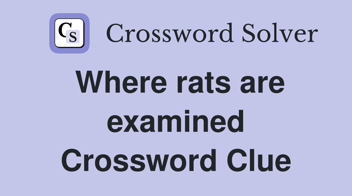 Where rats are examined Crossword Clue