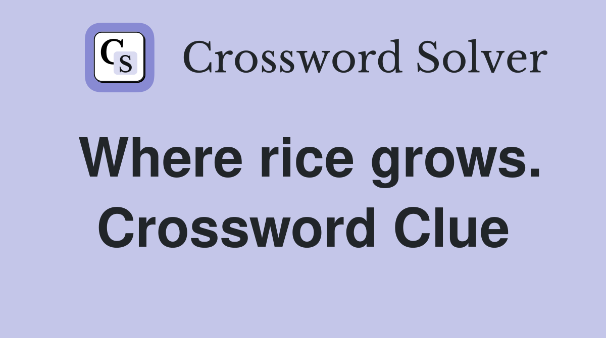 Where rice grows. Crossword Clue