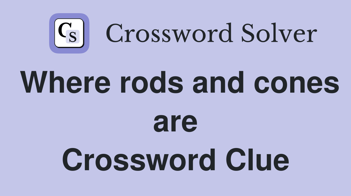 Where rods and cones are Crossword Clue
