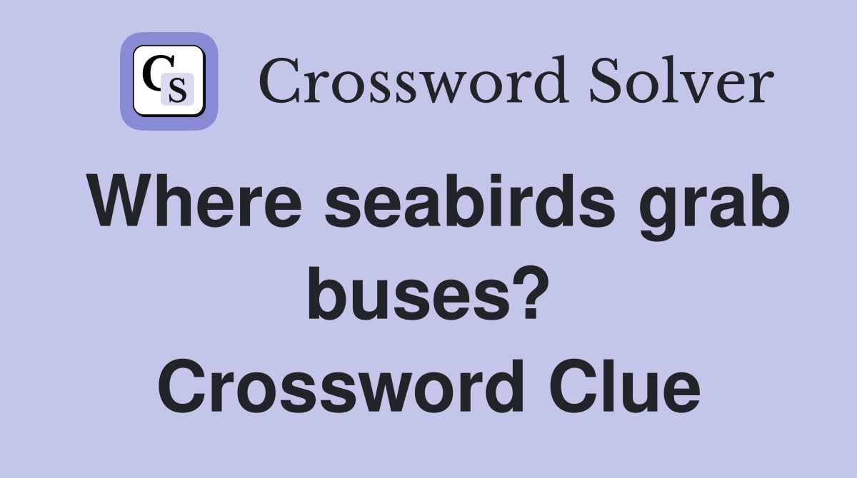 Where seabirds grab buses? Crossword Clue