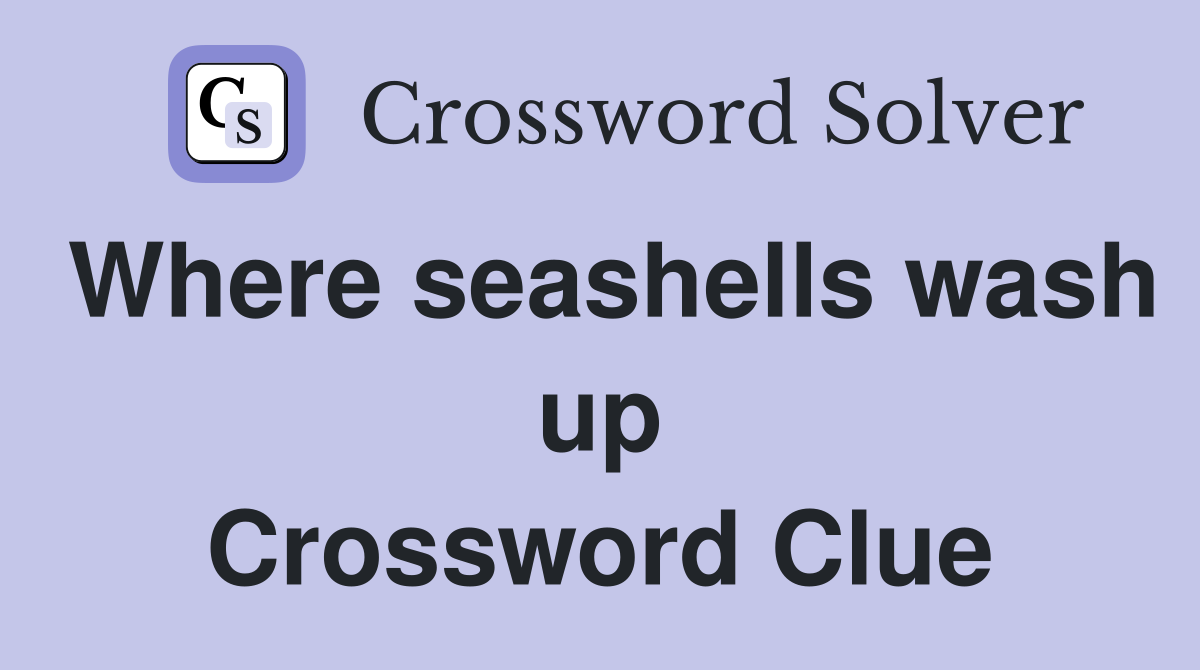 Where seashells wash up Crossword Clue