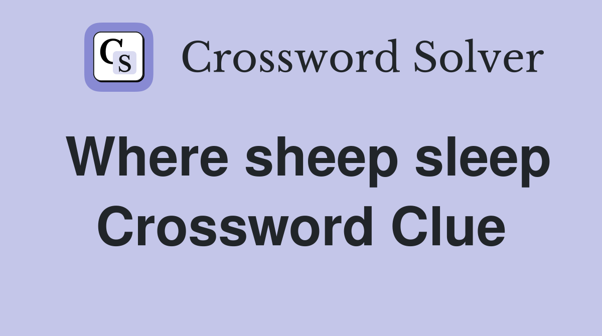 Where sheep sleep Crossword Clue