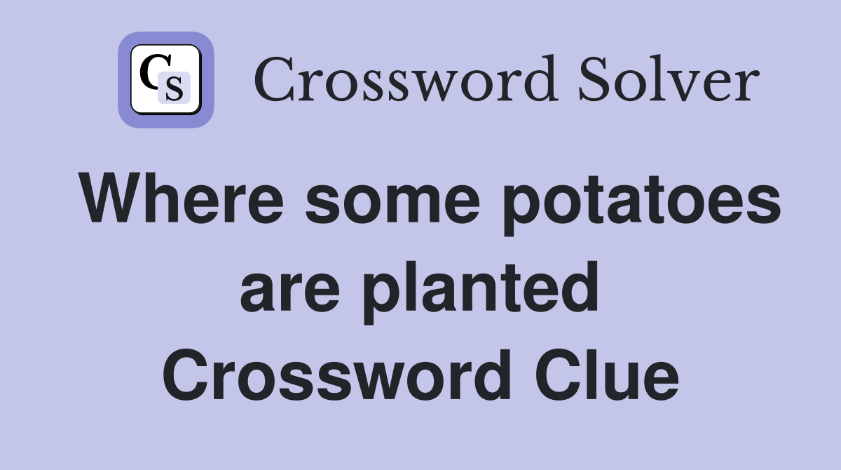 Where some potatoes are planted Crossword Clue