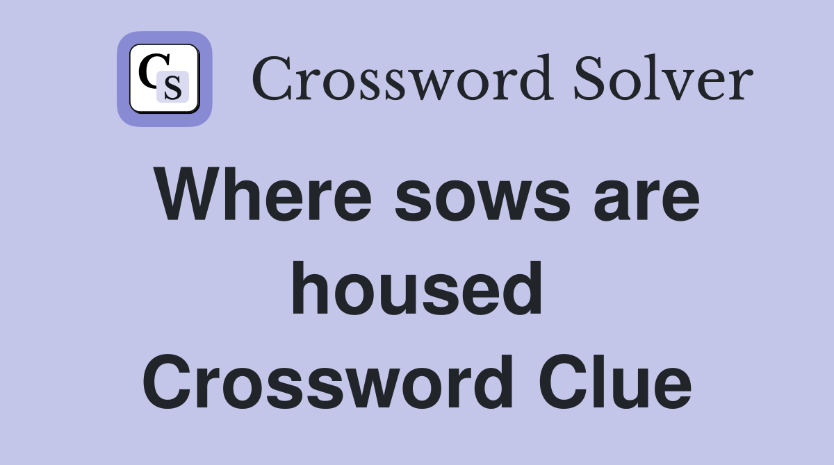 Where sows are housed Crossword Clue