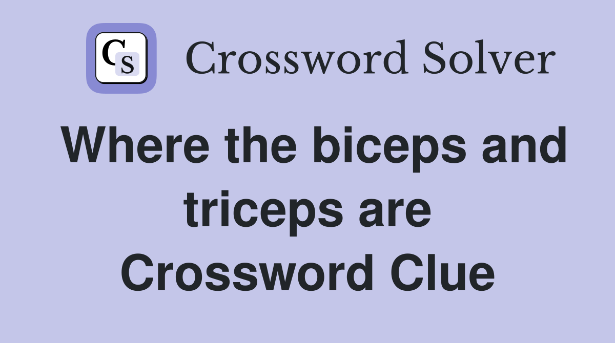Where the biceps and triceps are Crossword Clue