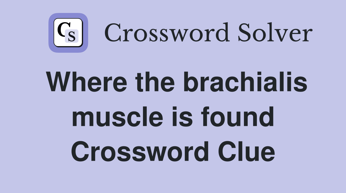 Where the brachialis muscle is found Crossword Clue
