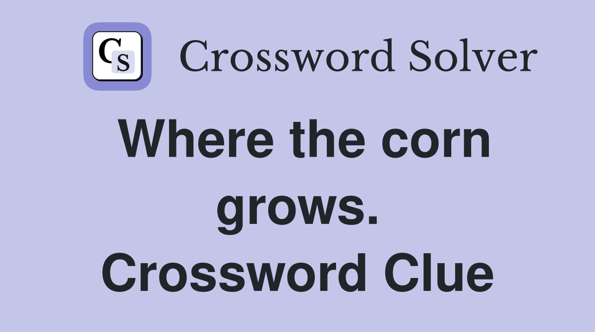 Where the corn grows. Crossword Clue