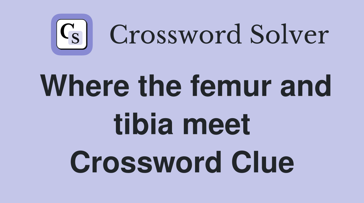 Where the femur and tibia meet Crossword Clue
