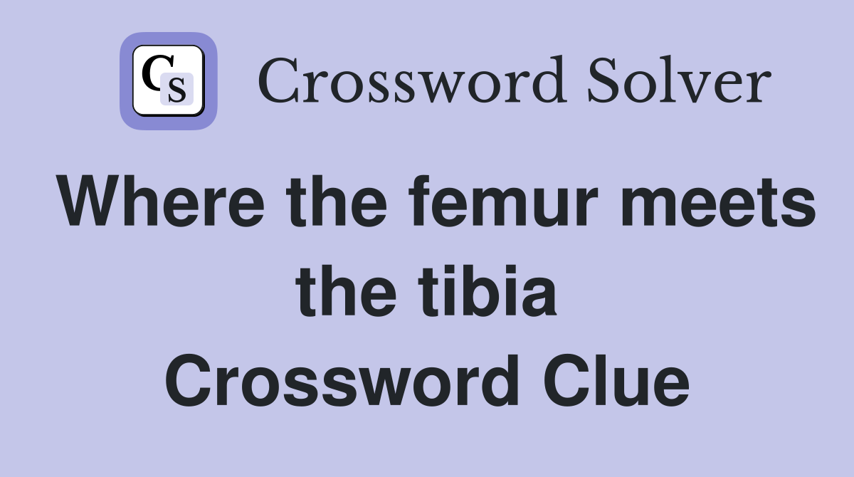 Where the femur meets the tibia Crossword Clue