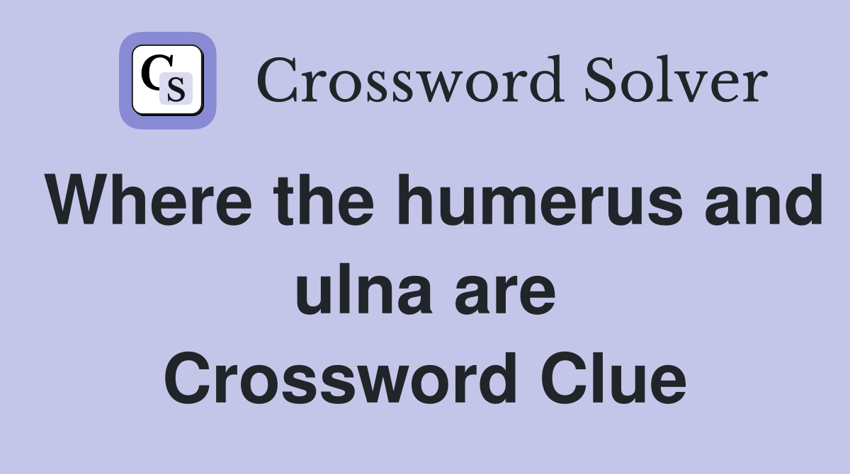 Where the humerus and ulna are Crossword Clue