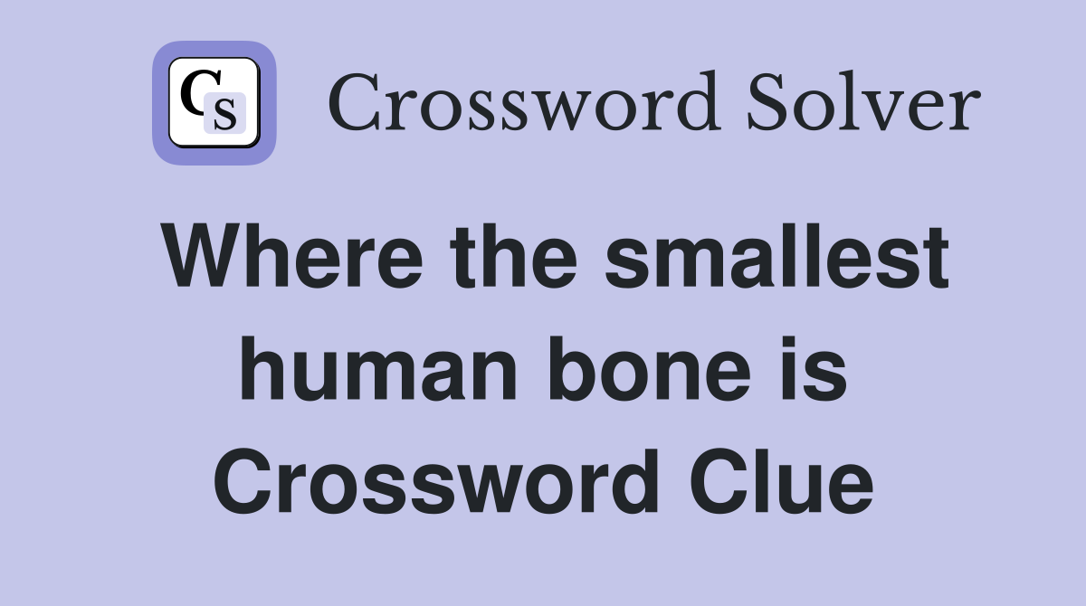 Where the smallest human bone is Crossword Clue