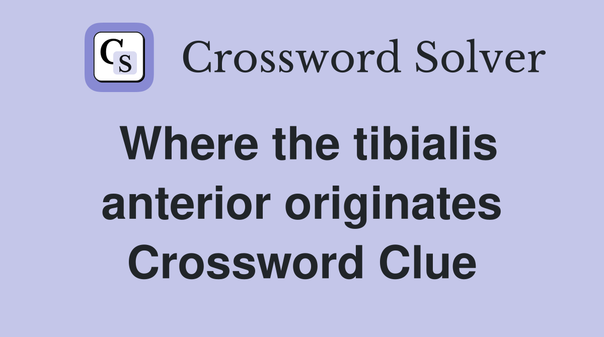 Where the tibialis anterior originates Crossword Clue